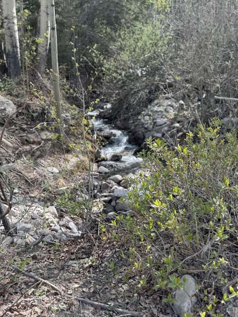 Buena Vista: 3 Hour E-Bike Tour to St. Elmo Ghost Town - Short Trail Hikes and Exploration