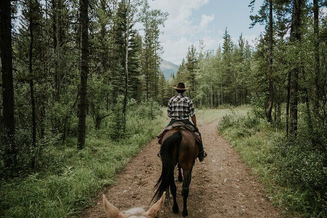Buffalo Loop 1-Hour Horseback Trail Ride in Kananaskis - The Sum Up