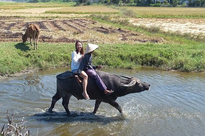 Buffalo riding and Basket Boat Half Day Tour - FAQ