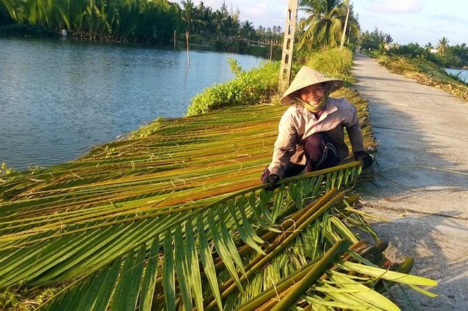 Buffalo Riding and basket boat tour from Da Nang/ Hoi An - Who Will Love This Tour?