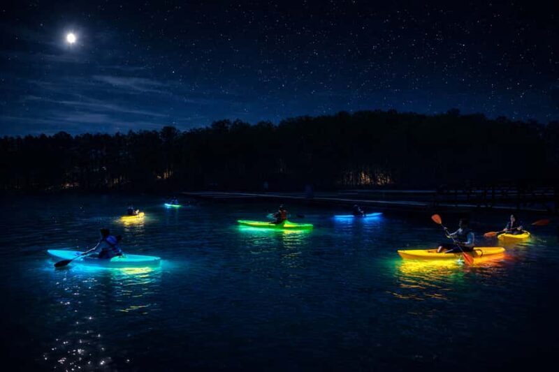 Buford: Lake Lanier Glow and Go Paddleboards & Kayaks - Key Points