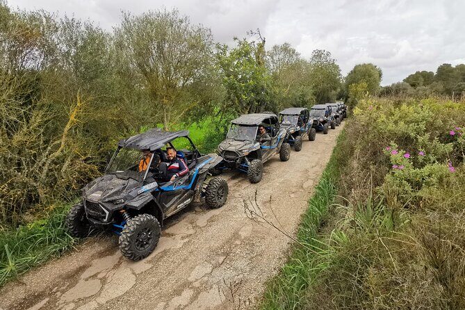 Buggy 2-seater and 4-seater Off-On Road Tour in Mallorca - The Sum Up