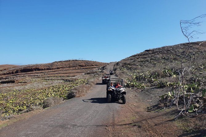 Buggy 3h Guided tour of the north of Lanzarote - The Sum Up: Who Should Book This Tour?