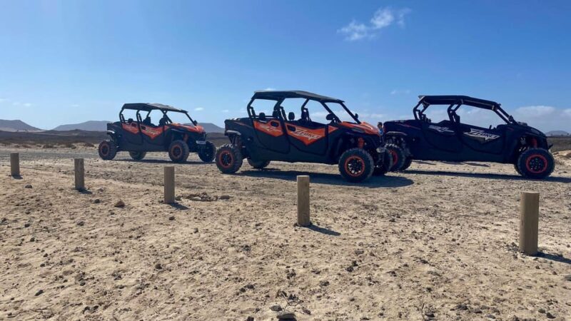 Buggy 4 pazas Corralejo Fuerteventura - The Critical View: Pros & Cons