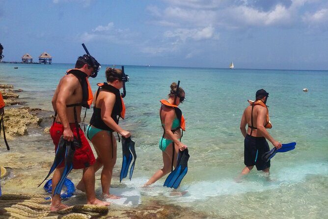 Buggy Adventure in Cozumel + Transportation from Cancún - FAQ