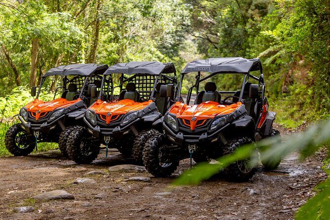 Buggy Adventure in Madeira off Road - FAQ