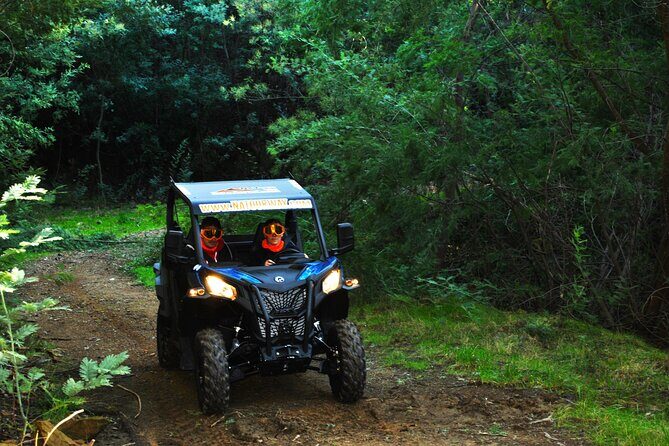 Buggy Experience at Arouca Geopark - Who Is This Tour Best Suited For?