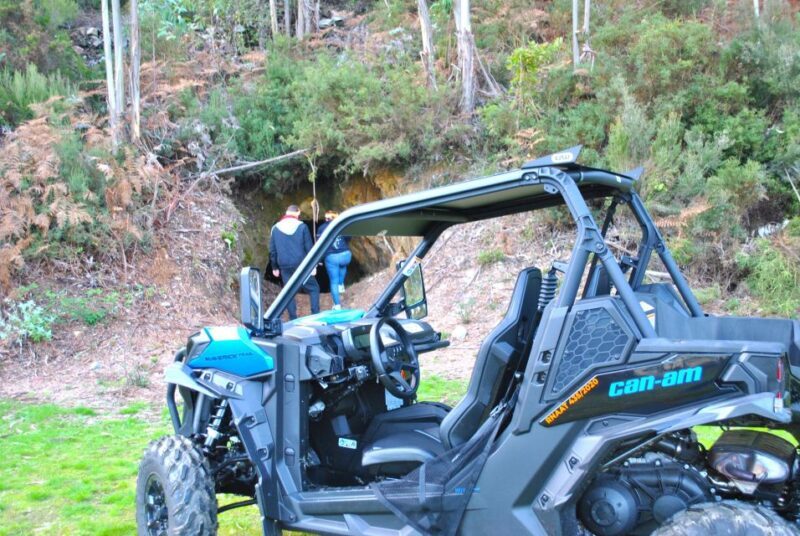 Buggy Experiences - An In-Depth Look at the Tour Experience