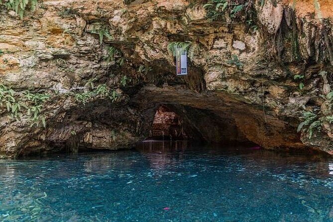 Buggy Half Day Adventure with Cave Swim from Punta Cana - Key Points