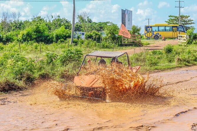 Buggy in Punta Cana Unforgettable All Terrain Adventure - Key Points