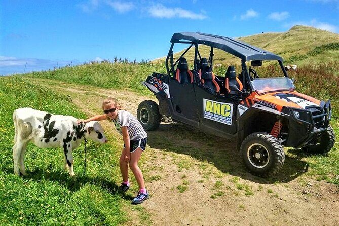 Buggy Off-road Excursion w/ lunch Coast to Coast (Shared) - FAQ