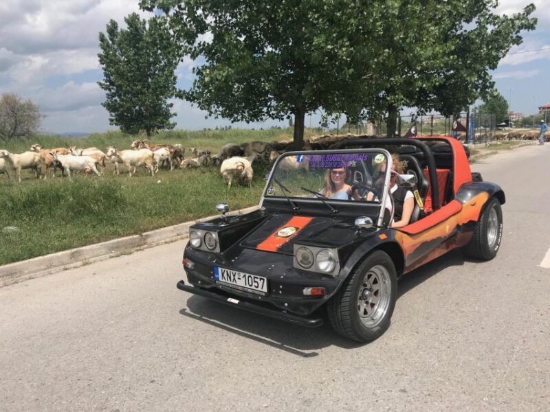 Buggy Safari " Discover Olympus " by Classic Buggy Rentals - Returning with Memories and Smiles