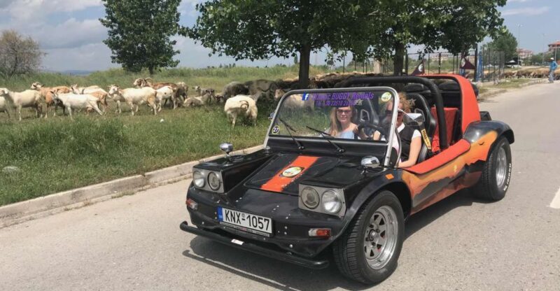 Buggy Safari " Discover Olympus " by Classic Buggy Rentals - Who Will Love This Experience?