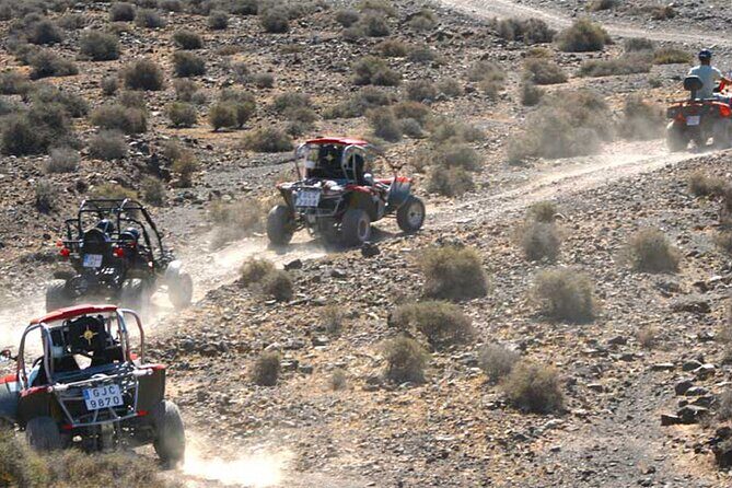 Buggy Safari In Costa Calma - Value and Considerations