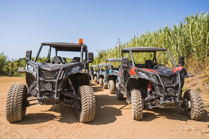 Buggy Safari With Wine Tasting - Practical Details and Logistics
