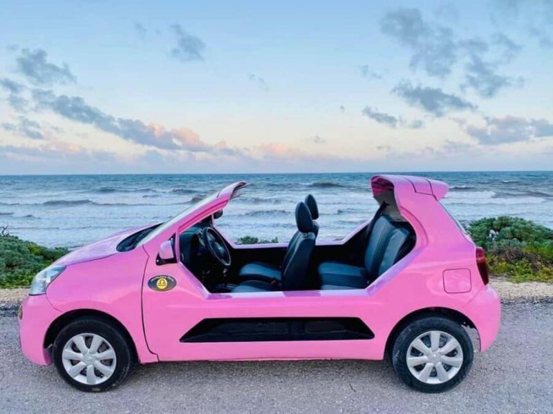 Buggy Tour of Cozumel Island - Chankanaab - Key Points