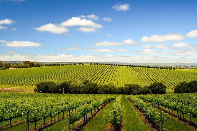 Build your own Unique Private Winery/Brewery Tour at the Margaret River region - Authentic Experiences & Genuine Value