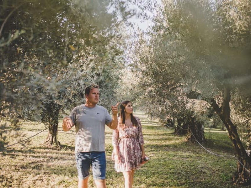 Buje: Istrian Family Farm with Walking Tour, Food, and Wine - An In-Depth Look at the Experience