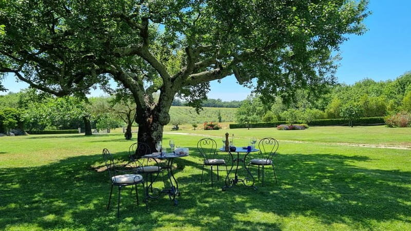 Buje: Istrian Family Farm with Walking Tour, Food, and Wine - Who Will Love This Tour?