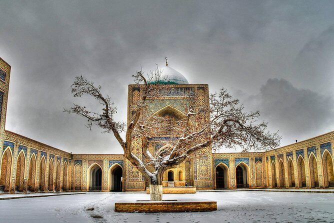 Bukhara One Day Tour - Departure From Tashkent - A Deep Dive into the Bukhara One Day Tour