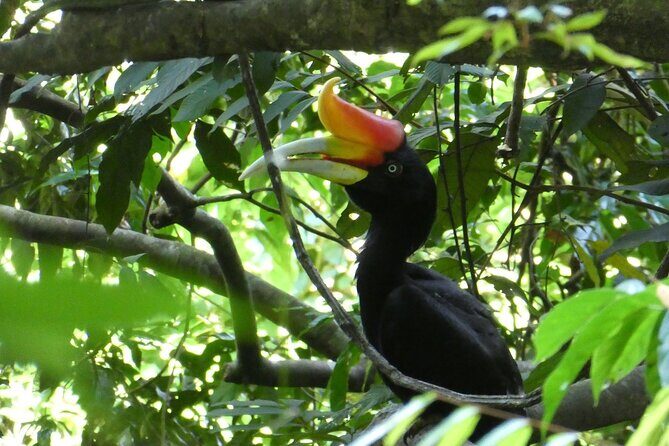 Bukit lawang 2 Day 1 Night with camping - Starting Point: Booking and What to Expect