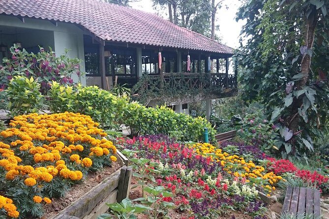 Bukit Tinggi French Village Private Tour - FAQ
