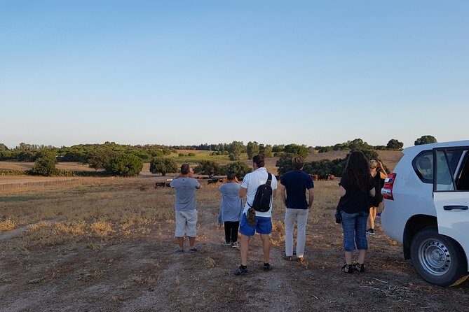 Bull Breeding Farm: Guided Half-Day Tour from Seville - Transport, Timing, and Group Size