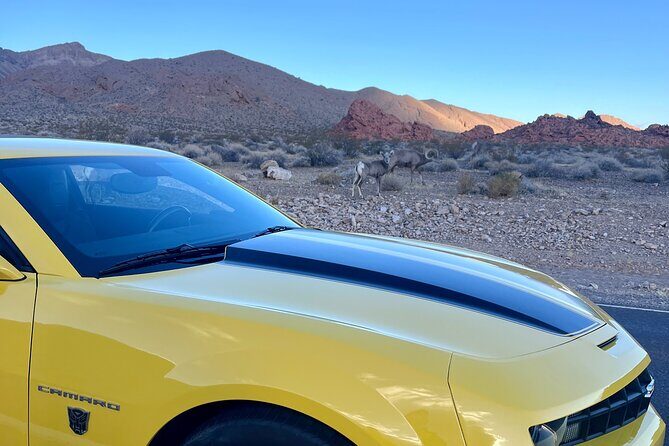 Bumblebee Camaro Tour: Transformers Movie Locations - An In-Depth Look at the Tour Experience