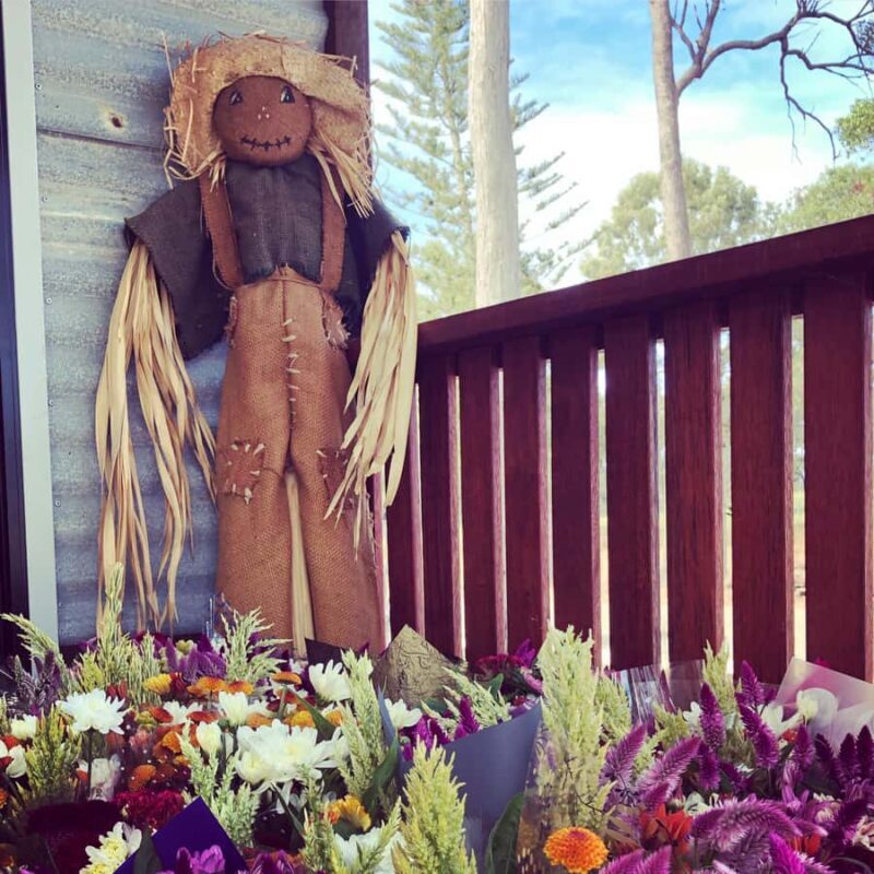 Bundaberg: Family-Friendly Entry Ticket to Splitters Farm - An Honest Look at Splitters Farm in Bundaberg