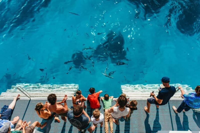 Bundaberg: Lady Musgrave Island and Great Barrier Reef Tour - An In-Depth Look at the Lady Musgrave Island and Great Barrier Reef Tour
