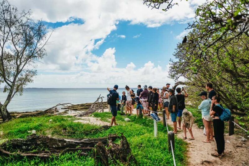 Bundaberg: Lady Musgrave Island and Great Barrier Reef Tour - What People Love (and What to Watch Out For)
