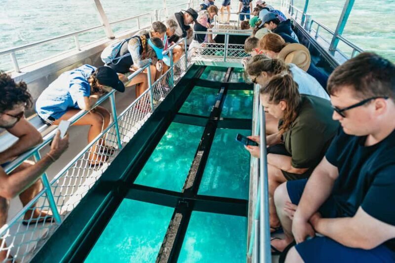 Bundaberg: Lady Musgrave Island and Great Barrier Reef Tour - Final Thoughts: Is It Worth It?