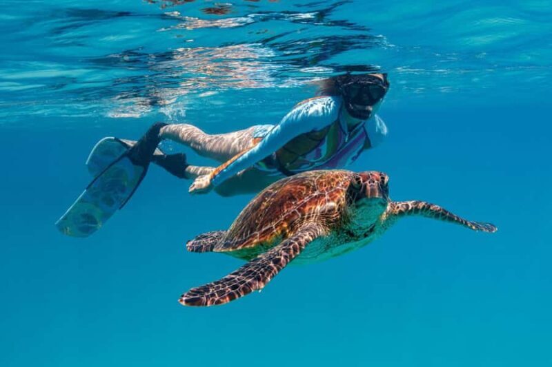 Bundaberg: Lady Musgrave Island and Great Barrier Reef Tour - FAQ