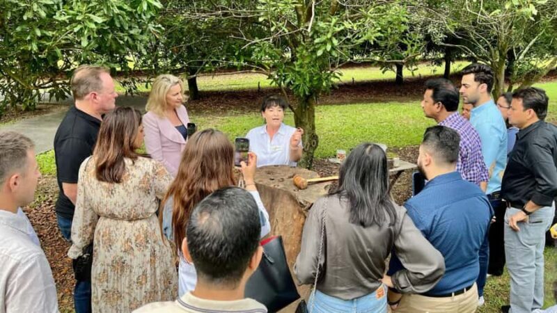 Bundaberg: Macadamia Orchard Tour - An In-Depth Look at the Macadamia Orchard Tour
