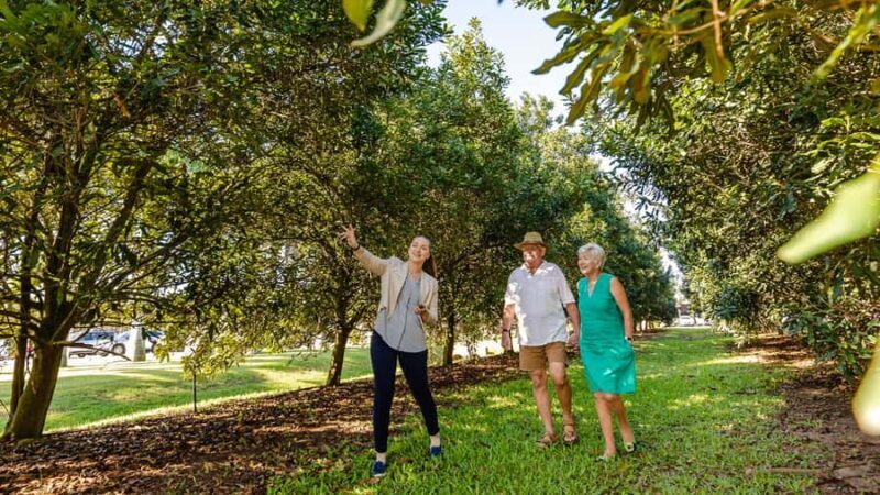 Bundaberg: Macadamia Orchard Tour - Final Thoughts: Is It Worth It?