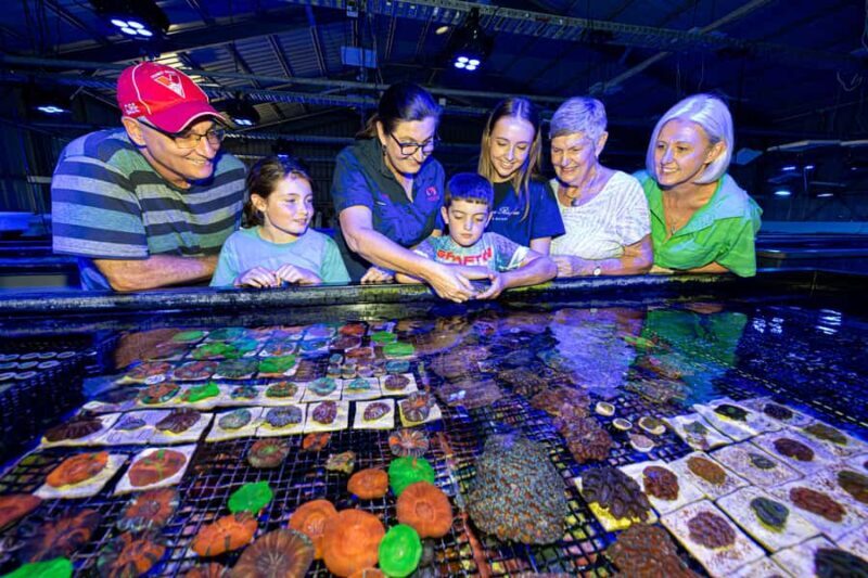 Bundaberg: Monsoon Aquatics Coral Farm Guided Tour - Key Points