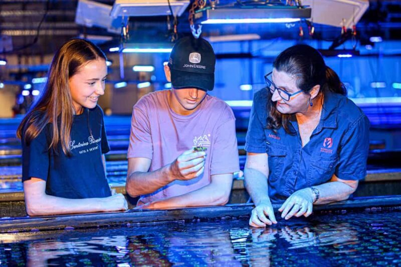 Bundaberg: Monsoon Aquatics Coral Farm Guided Tour - An In-Depth Look at the Monsoon Aquatics Coral Farm Guided Tour
