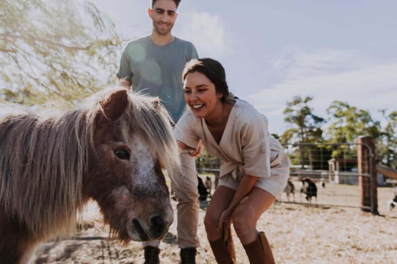 Bundaberg: Splitters Farm Guided Tour - Tasting Local Farm Products
