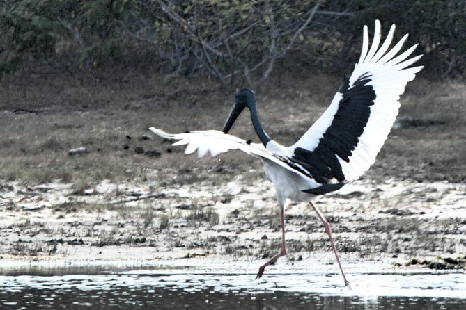 Bundala Birding Paradise - All Inclusive Tour - A Detailed Look at the Bundala Birding Paradise Tour
