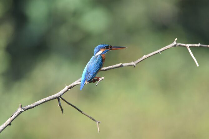 Bundala Birding Paradise - All Inclusive Tour - FAQs