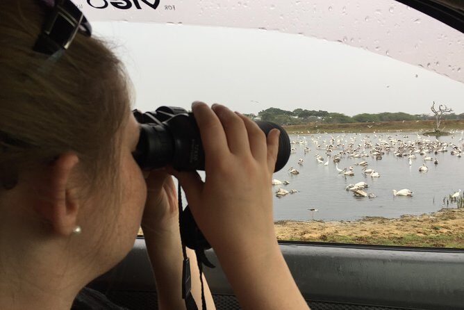 Bundala Birds Safari by Jeeps - The Itinerary: What to Expect
