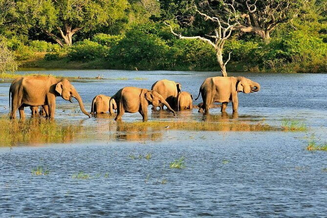 Bundala National Park All Inclusive Safari Tour from Hambantota - Who Will Appreciate This Tour?
