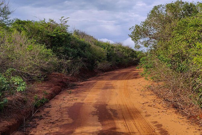 Bundala National Park Private Safari - Practicalities and Considerations