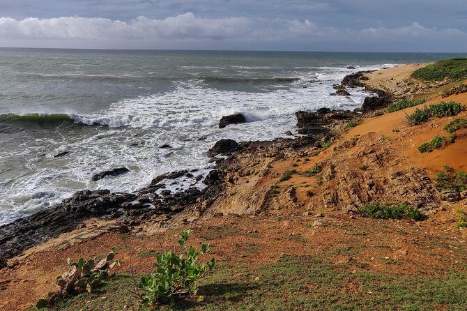 Bundala National Park Private Safari - Who Is This Tour Perfect For?
