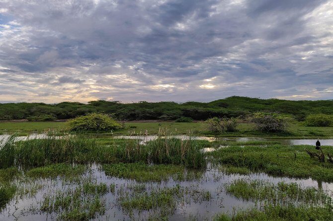 Bundala National Park Private Safari - The Sum Up