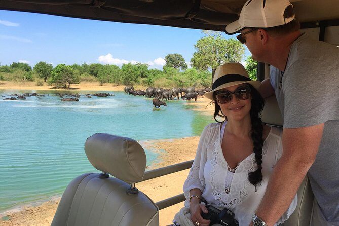 Bundala National Park Safari - Key Points