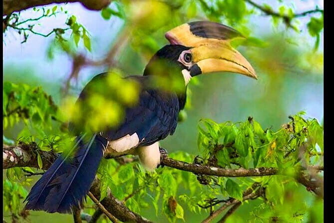Bundala National Park Safari from Dikwella - An In-Depth Look at the Tour Itinerary