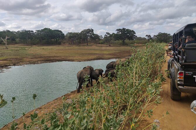 Bundala National Park Safari from Hikkaduwa - Key Points