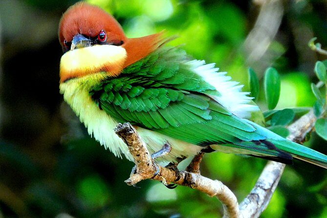 Bundala National Park Safari (PRIVATE TOURS)- Morning & Afternoon - What Makes the Bundala National Park Safari Special?