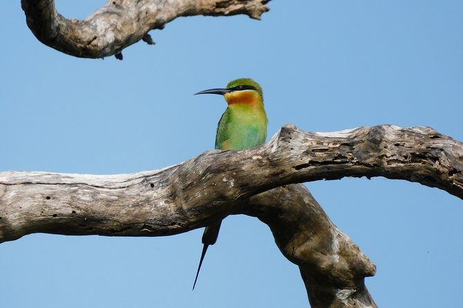 Bundala National Park Safari (PRIVATE TOURS)- Morning & Afternoon - Final Thoughts